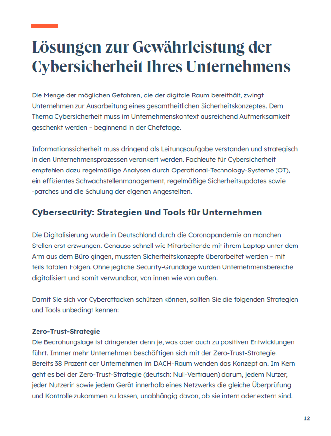 Cybersecurity in der DACHRegion